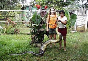 Christie and Brazilian worker with anaconda